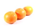 Three ripe oranges isolated on white background Royalty Free Stock Photo