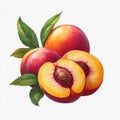 Three ripe peaches have been arranged in a display, with one of them sliced open to expose the seed within Royalty Free Stock Photo