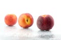 Three ripe peaches in the water droplets on white background Royalty Free Stock Photo