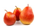 Three ripe pears are isolated on a white background Royalty Free Stock Photo