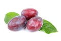 Three ripe plums with leaves on a white background Royalty Free Stock Photo