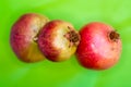 Three ripe pomegranates on a green background Royalty Free Stock Photo