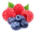 Three ripe raspberries and five blueberries isolated Royalty Free Stock Photo