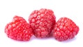 Three ripe raspberries macro close up isolated on white background Royalty Free Stock Photo
