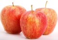 Three ripe red apples Royalty Free Stock Photo