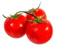 Three ripe, red, juicy tomatoes with water drops are on a white background isolated. Royalty Free Stock Photo