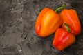 Three ripe red peppers on a gray background Royalty Free Stock Photo