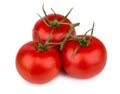 Three ripe red tomatoes on branch Royalty Free Stock Photo