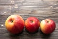 Three ripe red and yellow apples Royalty Free Stock Photo