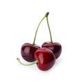 Three ripe sweet cherries isolated on white Royalty Free Stock Photo