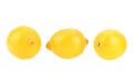 Three ripe yellow lemon citrus fruit isolated on white background Royalty Free Stock Photo