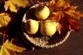 Three ripe yellow pears lie in a decorative plate with maple leaves on a wooden table, top view Royalty Free Stock Photo