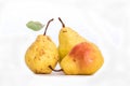 Three ripe yellow skinned pears, slightly imperfect fresh organic beautiful studio shot Bartlett pear with stem and green leaf Royalty Free Stock Photo