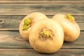 Three ripe yellow turnips on a wooden background. Royalty Free Stock Photo