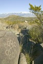 Three Rivers Petroglyph National Site, a (BLM) Bureau of Land Management Site, features more than 21,000 Native American Indian pe Royalty Free Stock Photo