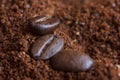 Three roasted coffee beans on ground coffee Royalty Free Stock Photo