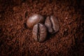 Three roasted coffee beans lie on a bed of ground coffee. Royalty Free Stock Photo