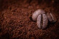 Three roasted coffee beans lie on a bed of ground coffee. Royalty Free Stock Photo