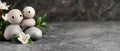 Three rocks atop a table, adjacent to a white flower there Royalty Free Stock Photo