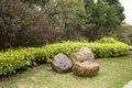 Three rocks and plants arranged in spring park background Royalty Free Stock Photo