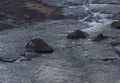 Three Rocks in the Tumult of a Frothing Stream Royalty Free Stock Photo