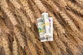 Three rolls of dollar bills on a background of neatly arranged ripe wheat ears