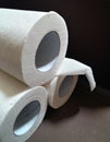 Three rolls of tissue