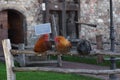 Three Roosters on a Fence Royalty Free Stock Photo