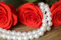 Three roses flowers red with pearl beads on wooden background closeup. Royalty Free Stock Photo