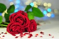 Three roses between small hearts on lights background Royalty Free Stock Photo