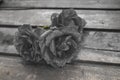 Three roses. Wooden background. Please accept our condolences. Mourning or an expression of regret. Monochrome black and