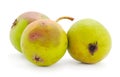 Three rotten pears