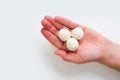 Three round candies of white chocolate truffles covered in shredded coconut on man`s palm isolated on white background with Royalty Free Stock Photo