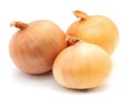 Three round onions.