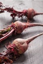 Three in a row organic beets Royalty Free Stock Photo