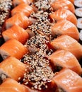 Three rows of sushi rolls with salmon and tuna close up. Royalty Free Stock Photo