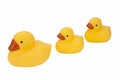 Three Rubber Ducks - Isolated Royalty Free Stock Photo