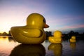 three rubber ducks in Nong Prajak, Udon Thani,Thailand in evening Royalty Free Stock Photo