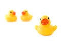 Three rubber yellow ducks