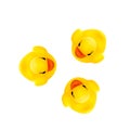 Three rubber yellow ducks