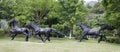 Three running horses sculptures, adobe rgb