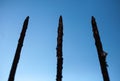 Three rusty metal fence stakes