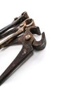 Three Rusty Pincer Pliers in perspective view