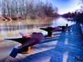 Three rusty ship propellers in colorful nature