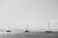 Three sail boat in the sea near Aegina island