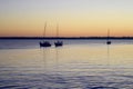 Three sailboats heading into shore