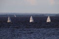 Three sailing boats compete in the Gulf of Finland Royalty Free Stock Photo
