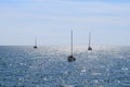 Three sailing boats in the sunlight Royalty Free Stock Photo