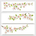 Three sakura branches banners. Royalty Free Stock Photo