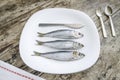 Three sardines on white plate Royalty Free Stock Photo